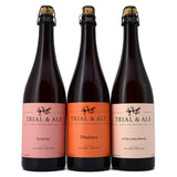 TRIAL & ALE FRUITED SOUR & WILD ALE MIXED PACK 3B