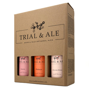 TRIAL & ALE FRUITED SOUR & WILD ALE MIXED PACK 3B