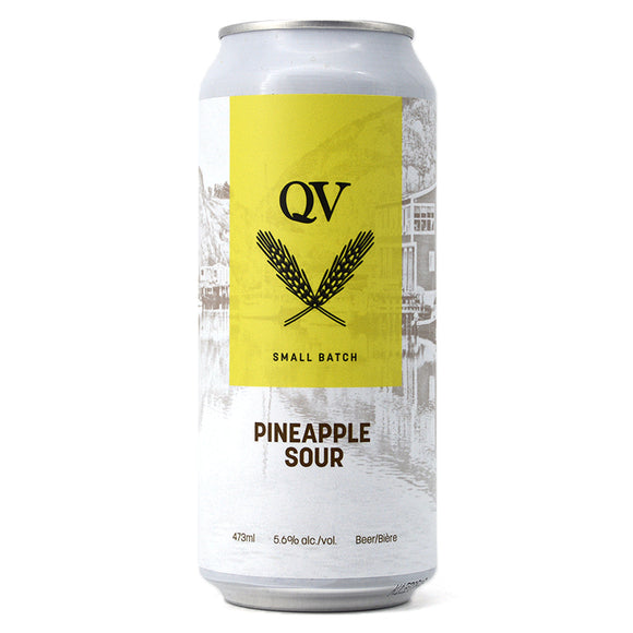 QUIDI VIDI PINEAPPLE SOUR 473ML